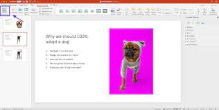 picture in powerpoint remove