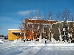 unique things to do in fairbanks alaska