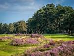 Hindhead Golf Club - Top 100 Golf Courses of England | Top 100 ...