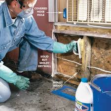 water damage mold and mildew