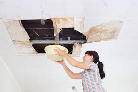 If you cannot safely make ceiling repairs or you don't have the time to do so quickly, you. Leak In Your Apartment Here S What You Can Do To Take Care Of It For Good