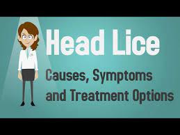 head lice causes symptoms and