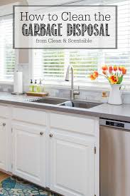 how to clean the garbage disposal all