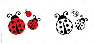 fly flying ladybug vector dotted or