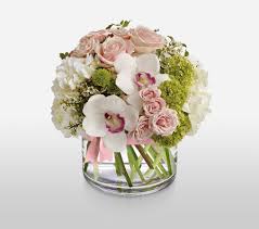 We did not find results for: Flower Delivery New Jersey Same Day Florist Delivery