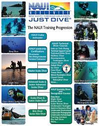 u sibu naui scuba diving courses