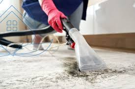 carpet cleaning garabini company