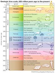 Geologic Time Scale 650 Mya To Present Geology Earth