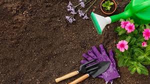 Start A Gardening Business In South Africa