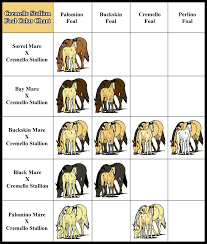 Cremello Cross Color Chart Foal Color Chart