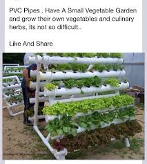 Pvc pipe is an incredibly material that be used a lot in the garden today. Pin On Garden
