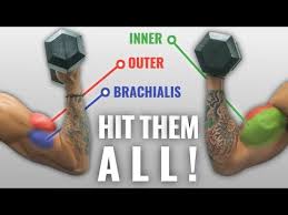 the ultimate dumbbell bicep workout you