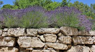 Dry Stone Builders For Your Landscaping