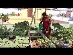 Garden Poovali News7 Tamil