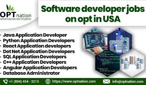 software developer jobs on opt in usa