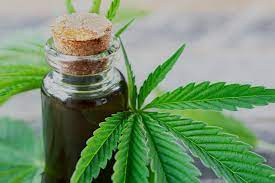 Cannabis oil also goes by rick simpson oil (rso) after its original canadian creator rick simpson. 5 Ways To Use Cannabis Oil Iamcafe Com