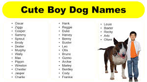 creative ideas for cute boy dog names