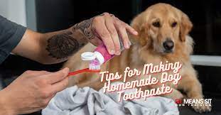homemade dog toothpaste sit means sit