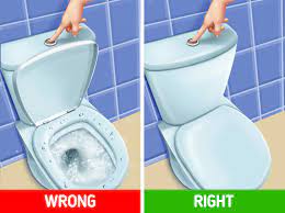How To Use A Toilet Correctly 5