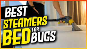 5 best steamers for bed bugs 2022