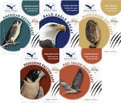 See more ideas about birds of prey, raptors bird, birds. Birds Of Prey Foundation The Raptor Collection Erie Coffee Roasters Llc