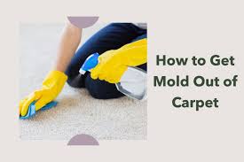 how to get mold out of carpet 3 can t