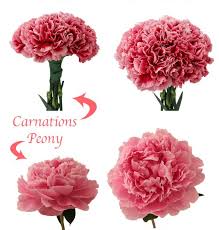 Description 9 peonies on our website proflowers.ua, in addition, our managers will advise you about the features of any selected product. Carnations Vs Peonies Are Fresh Cut Carnations A Cheaper Stress Free Alternative To Fresh Cut Peonies Eagle Link Flowers