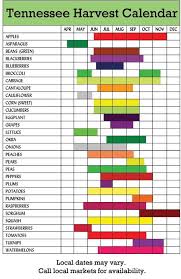 Tennessee Harvest Chart For The Delicious Fruits And Veggies