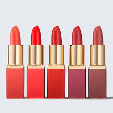 pure color envy mini lipstick wonders