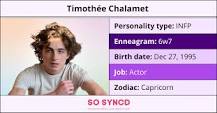 what-is-timothée-chalamets-type