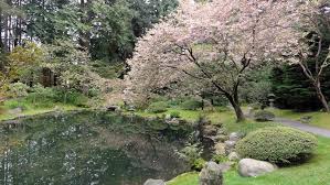nitobe japanese garden university of