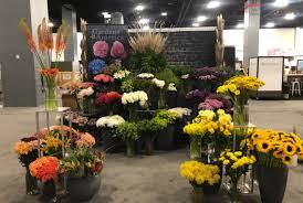 bulk flowers distributors in miami