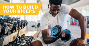 your best guide to building biceps issa