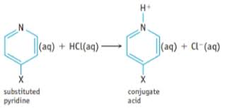 A Hydrogen Atom In The Organic Base