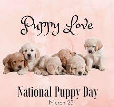 National Puppy Day 2022 HD WhatsApp DP ...
