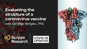 07, 2020 1:39 am etnovavax, inc. Scientists Reveal Structural Details Of Spike Protein Used In Leading Covid 19 Vaccine Scripps Research