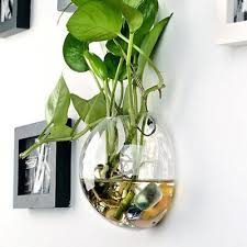 Wall Hanging Planter Glass Hydroponic