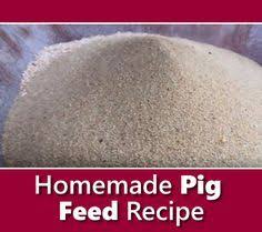 Homemade Pig Feed Recipe | Pig feed, Pig food, Pig farming