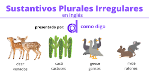 sustantivos plurales irregulares