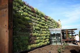How Do Green Walls Reduce Noise