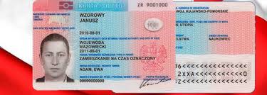 A completely filled poland visa application form. Residence Permit In Poland For Foreigners Karta Pobytu How To Obtain It