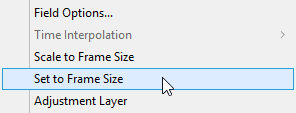 fit to frame size in premiere pro