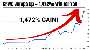Penny Stock Fever Is Back In A Big Way Daily Profit Machine