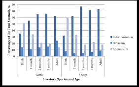 Understanding The Ruminant Animal Digestive System