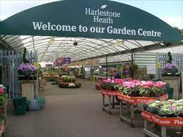wyevale garden centre harlestone road