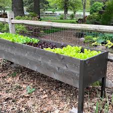 plant a raised vegetable garden