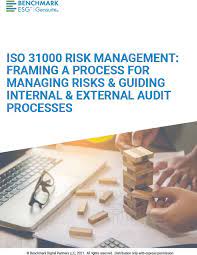 iso 31000 managing risks guiding