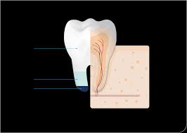 what is tooth enamel sensodyne new