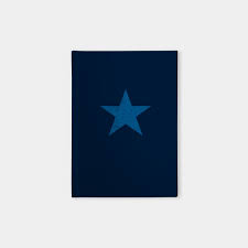 Blue Star Emoji