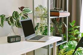 green nature tree plants workspace